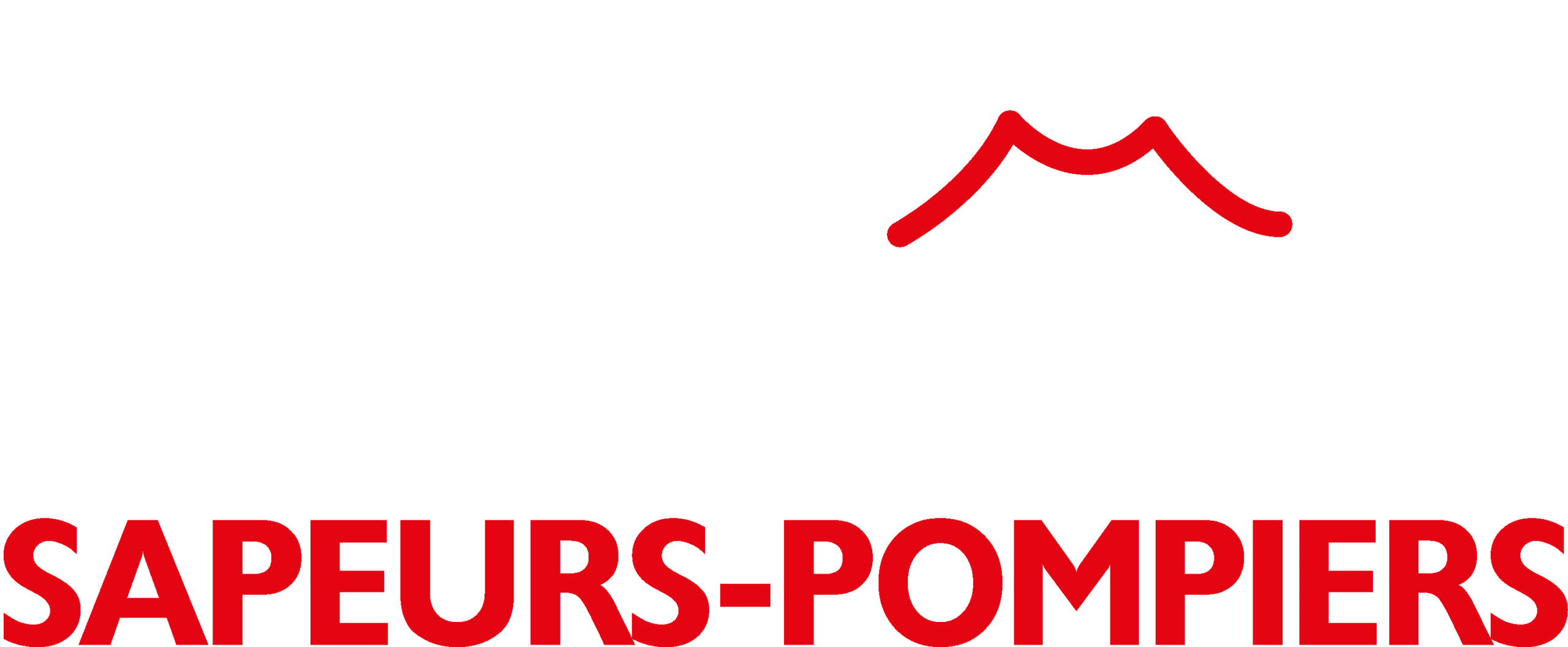 2023_logosdisfondfonce_